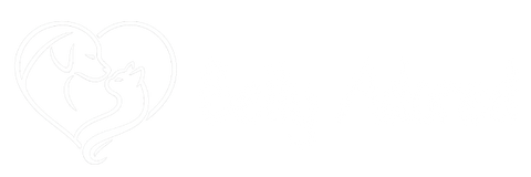 Belly Adored