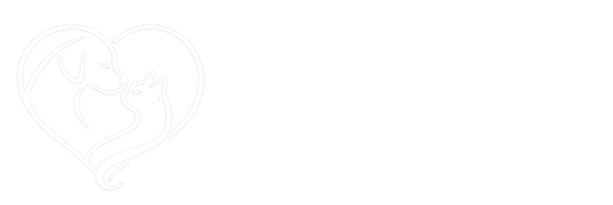 Belly Adored
